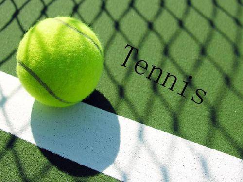 手无从发挥 手无从发挥