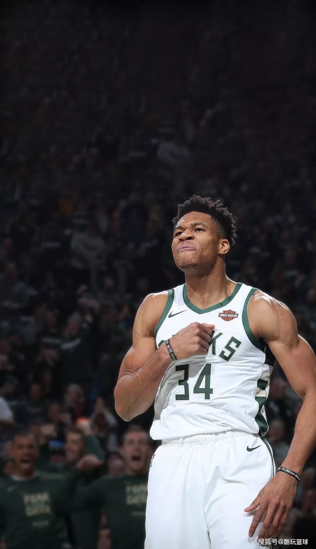 提升了侧翼 提升了侧翼